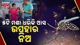 Special Report: Village Offers Cash Bounty For Dead Mosquitoes To Combat Disease | Know The Details