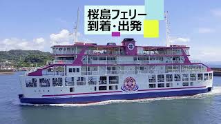 桜島フェリー　到着・出発