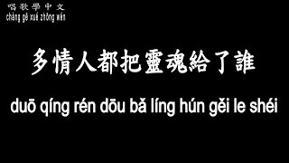 【唱歌學中文】►李翊君/多情人都把靈魂給了誰◀ ►Linda Li / Passionate people put the soul to whom ◀『多情人 總讓憂傷給灌醉』【動態歌詞中文、拼音】