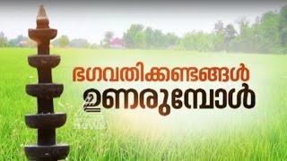 Tirumanthamkunnu Temple Angadipuram | ഭഗവതിക്കണ്ടങ്ങള്‍ ഉണരുമ്പോള്‍