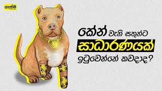 කේන් වැනි සතුන්ට සාධාරණයක් ඉටුවෙන්නේ කවදාද?