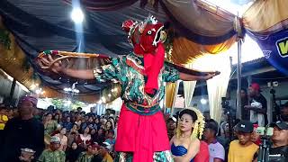 MACAN MACANAN BARONG TRESNO BUDOYO KEMIREN LIVE DELIK