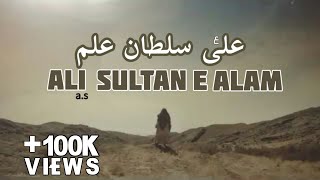 Ali ع Sultan E Alam Manqabat | Mirza Hasan Mujtaba | Wiladat Imam Ali ع Status | 13 Rajab Status