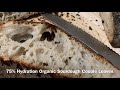 【スペルト小麦】サワードウ ブレッド 天然酵母 加水 75% hydration organic spelt sourdough bread