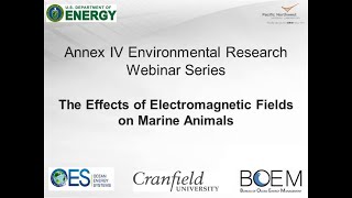 Annex IV Webinar #5: The Effects of Electromagnetic Fields on Marine Animals