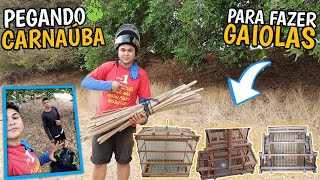 🌴 FUI PEGA TALOS DE CARNAÚBA MAIS MEU AMIGO!!! (Para fazer gaiolas artesanais)