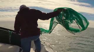 Small Trawl Shrimping | Catch and Cook