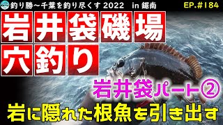 EP.184【千葉内房穴釣り】岩井袋の磯場で穴釣り（ゴロタの続き）