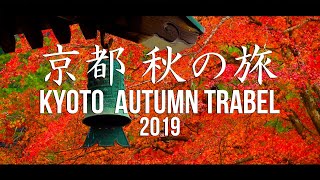 【京都】 秋の紅葉巡り旅 2019  | KYOTO AUTUMN TRAVEL (醍醐寺・東寺・南禅寺・鞍馬寺・清水寺）