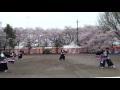 大宮同心桜連／第9回くまがや桜よさこい2017