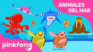 Muévete Como los Animales del Mar | Animales del Mar | Pinkfong Canciones Infantiles