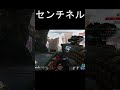 久々に使うセンチネルが楽しすぎた！！！ドラッグショットは癖ですｗ【apexlegends】 apexlegends＃センチネル＃shorts＃シーズン23＃キーマウ