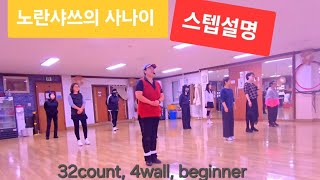 🌼노란샤쓰의 사나이 라인댄스/스텝설명/초급/제주라인댄스