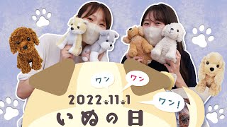 11月1日は犬の日！🐶いぬ雑貨＆ペットグッズ特集🦴