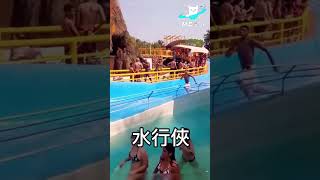 辣個男人有點猛 #shorts #reels #ME星人 #meme #水行俠 #立法院長 #辣個男人 #水遊樂園 #滑水道 #滑水 #浪子 #棄票 #立法院  🐈ME星人生活需要點meme🐈