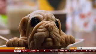 Puppy shaped ice cream anyone? (Taiwan) - BBC News - 20th August 2018