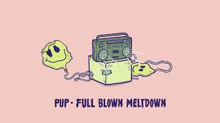 PUP - Full Blown Meltdown (Audio)