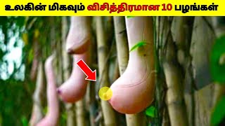 உலகின் மிகவும் விசித்திரமான 10 பழங்கள் 2024/10 Most Unique Fruits in the World In Tamil/Dee Amazing