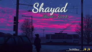 Shayad (Slowed + Reverb) | Love Aaj Kal | Arijit Singh | Kartik Aryan | Sara Ali Khan