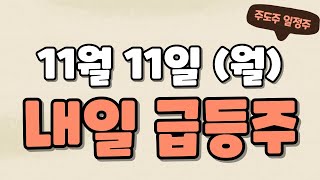 11월11일급등주,알테오젠,DS단석,한화오션,현대힘스,하이드로리튬,성우,산일전기,한화시스템,샤페론,토모큐브,삼부토건,카페24,파이버프로,제이오,SG,케이씨에스,에이치브이엠,AP위성