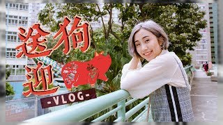 新年新髮色！分2日漂3次頭 | 送狗迎豬 Vlog | STELLA MA