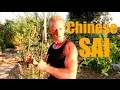 Kung Fu Farming Weapons - The SAI