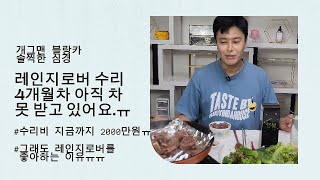 레인지로버 정비기간 5개월차~차 받았냐구요???아니요..ㅠ ...5개월동안 뚜벅이 생활하는 차주 블랑카...(feat:배우 김정욱)