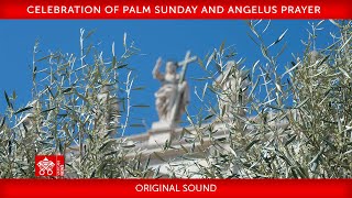 02 April 2023, Celebration of Palm Sunday, Angelus prayer | Pope Francis