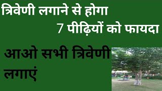 त्रिवेणी लगाने से होगा सात पीढ़ियों को फायदा,आओ सभी त्रिवेणी लगाएं,अपने जीवन में एक बार पुण्य का काम