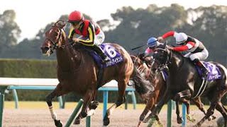 【天皇賞（秋）2024ほか】伊吹雅也のピックアップ競馬データ～メイン「1点」分析編｜競馬ニュース｜競馬予想のウマニティ