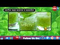 nature u0026 life mint stay safe from various disease by using our home remedy tips mbctv