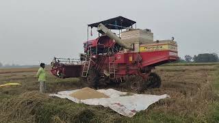 HARVESTER PADDY CROP# రైతులకు వరం హార్వెస్టర్# warangal# youtube# Ts #