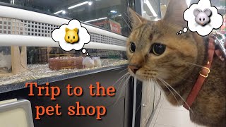 Trip to the pet shop 🐭