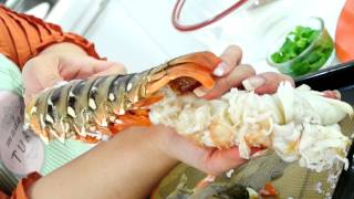 กุ้งมังกร 7 สี (Behind the Scene มาดามตวง Food Work)