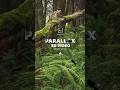 Unlock the Magic of Parallax Effect: Creating Dynamic Scenes in After Effects!