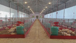 Agrivet Breeder Research Facility