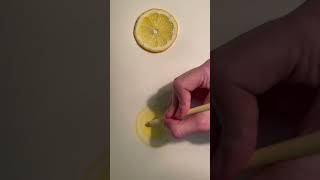 Drawing realistic lemon with coloured pencils! #art #shorts #trending #drawing #youtubeshorts #fyp