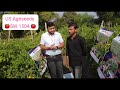 us agriseeds company excellent tomato hybrid 🍅sw 1504🍅 किसानों की पहली पसंद ।