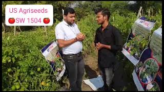 US Agriseeds company Excellent Tomato hybrid 🍅SW 1504🍅 किसानों की पहली पसंद ।