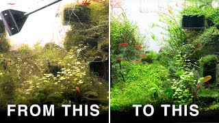 The Top Thing That Fixed My Aquascape \u0026 Saved Me Money | UNDR