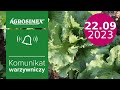 Wrześniowa lustracja sałaty - komunikat warzywniczy | Agrosimex