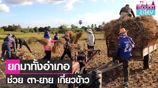 นอภ.เชียงคาน ระดมเจ้าหน้าที่ ช่วย 2 ตายายเกี่ยวข้าว  | เรื่องดีดีทั่วไทย | 7-12-65