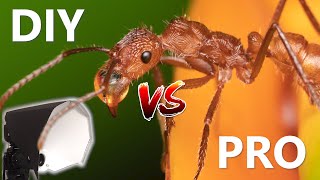 PRO Flash Diffuser VS DIY Flash Diffuser for Macro Photography