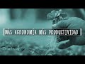 germinadores y almacigos de café tips del profesor yarumo