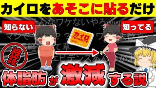 【ダイエット】カイロで基礎代謝が12％向上し痩せる説を検証【ゆっくり解説】