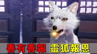 The scholar saved a white fox, but he didn't expect it to speak human