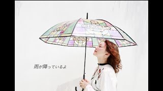 加藤いづみ ／ 好きになって、よかった（2023） 【Official Music Video】