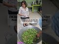 Wah Masak Apa Itu Cik Mehong Pakai Sayur Daun Hijau Begitu