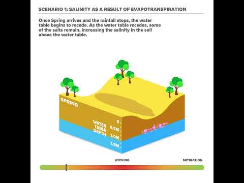 What is dryland salinity?