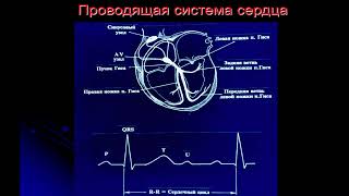 13.50 НАРУШЕНИЯ РИТМА СЕРДЦА У ДЕТЕЙ